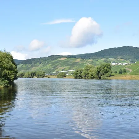 The Old Gemeinde House By The Mosel River Apartment
