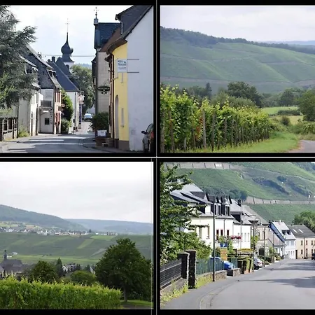Apartment The Old Gemeinde House By The Mosel River Brauneberg