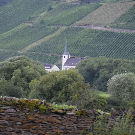 The Old Gemeinde House By The Mosel River Apartment