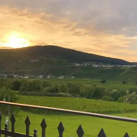 Apartment The Old Gemeinde House By The Mosel River